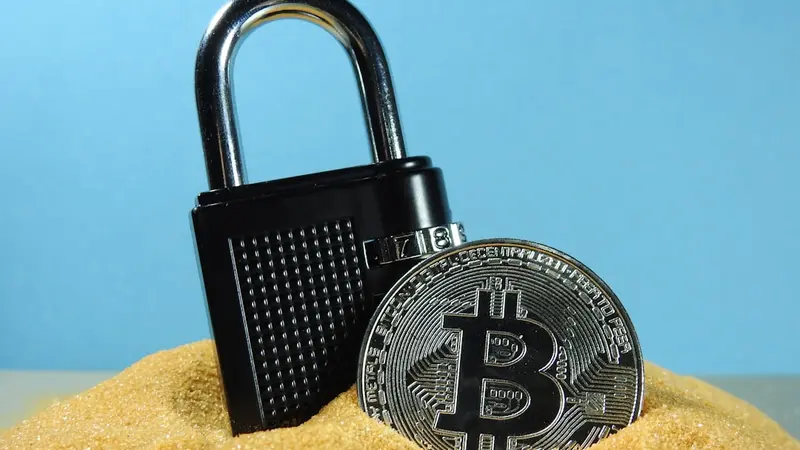 How Privacy Coins Work, Explained for Beginners